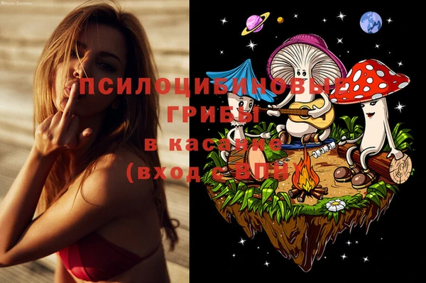 гашишное масло Богородицк