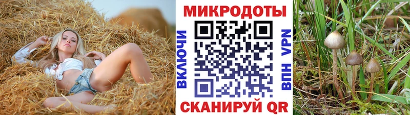 Купить Алейск Галлюциногенные грибы мухоморы