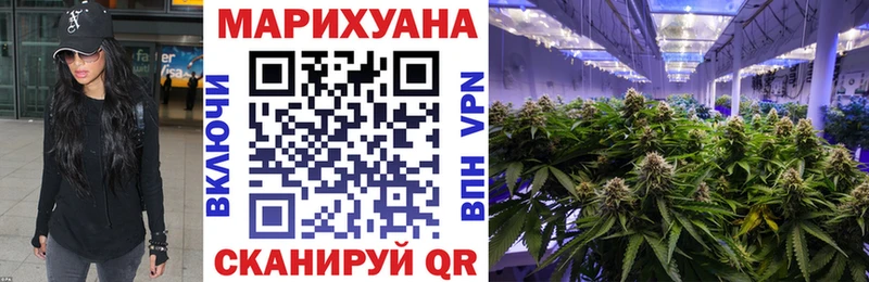 Купить  Алейск  Каннабис гибрид 